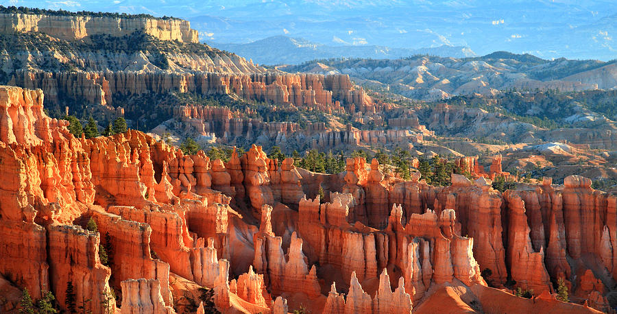 Sunset Photograph - Hoodoos of sunset point in Bryce Canyon #1 by Pierre Leclerc Photography