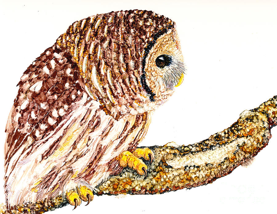 Hoot on a Branch Painting by Jan Killian