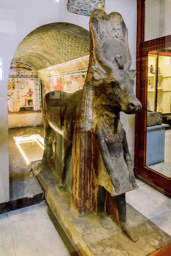 Horse 1 - The Egyptian Museum of Antiquities - Cairo Egypt Photograph ...