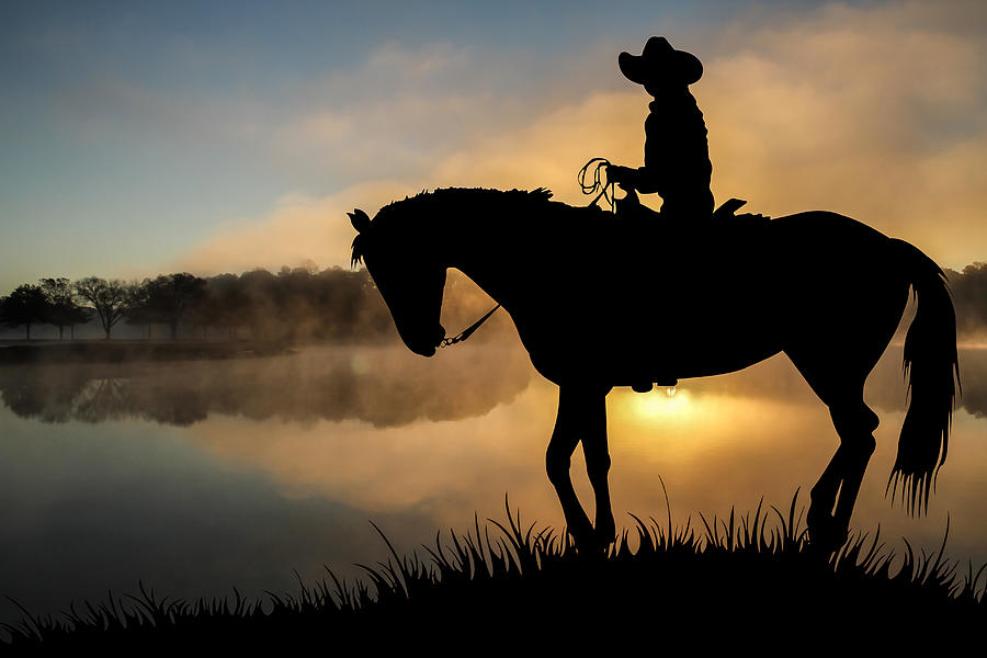 Horse at Dawn #1 Photograph by Joe Myeress
