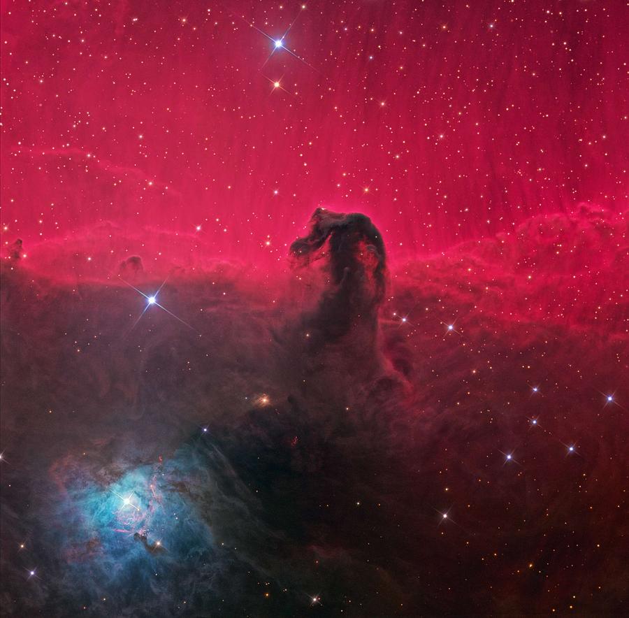 Horse Head Nebula 2 #1 Painting by Celestial Images