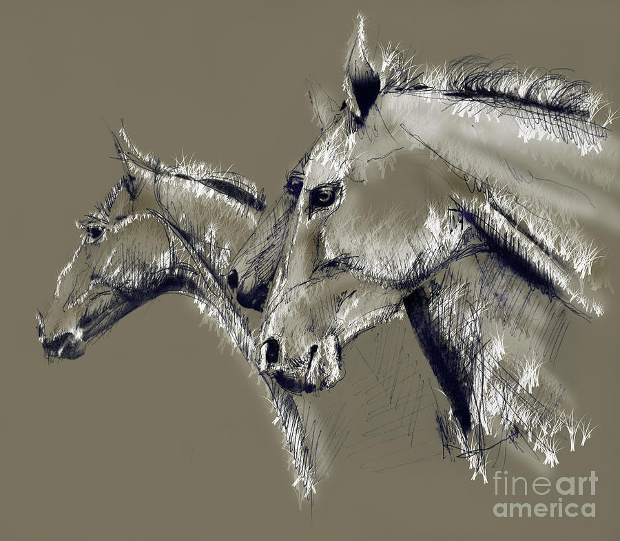 Horse study #1 Drawing by Daliana Pacuraru