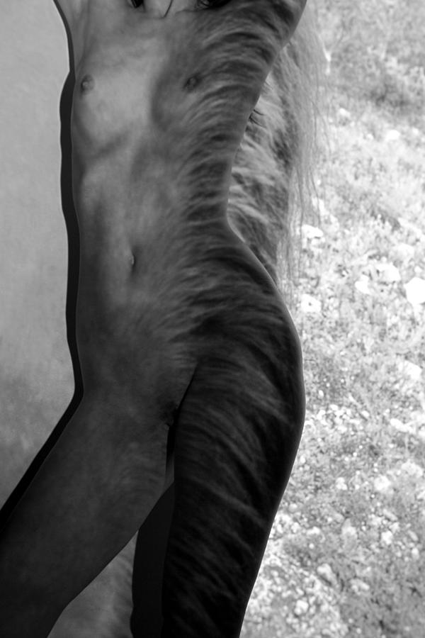 Black And White Photograph - Horse Woman #1 by Doron  Hanoch