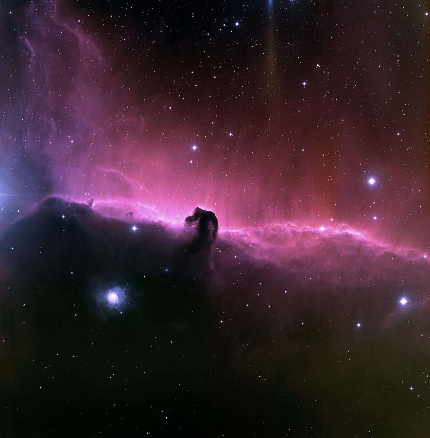 Horsehead Nebula 3 #1 Painting by Celestial Images