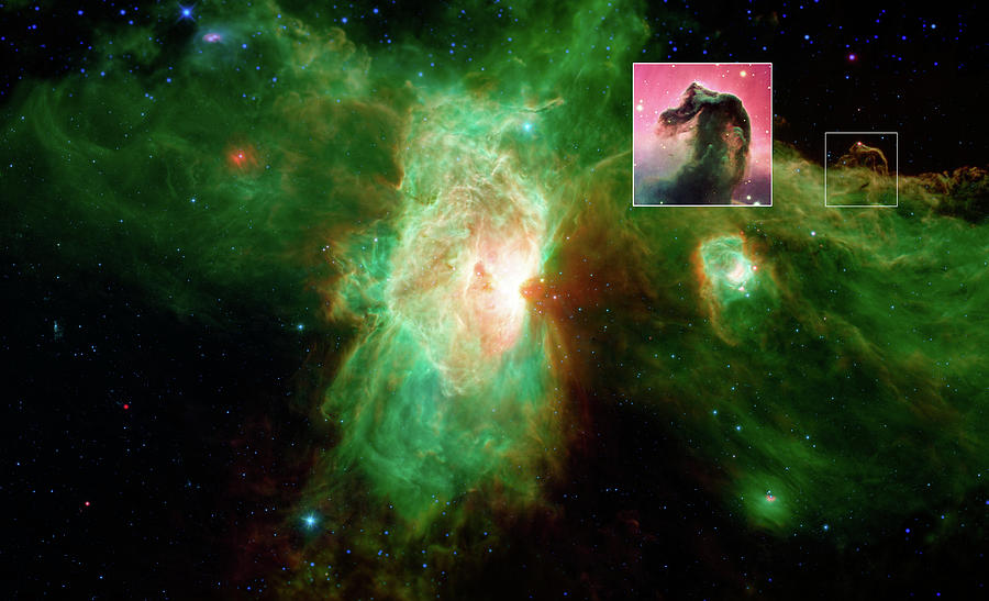 Horsehead Of A Different Color Photograph
