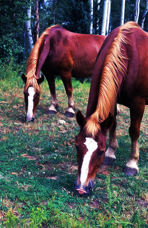 Horses 2 #1 Digital Art by Cathy Anderson