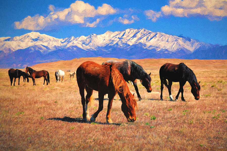 Horses on the Plain #1 Photograph by Greg Norrell