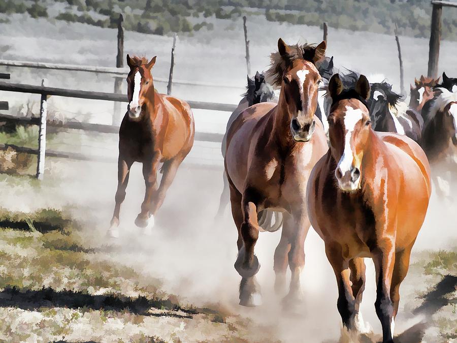 Horses Running into a dusty ranch corral by Nadja Rider Horses Running into a dusty ranch corral by Nadja Rider