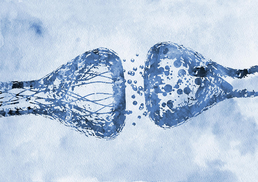 Human Nerve Cell Synapse X Digital Art By Erzebet S