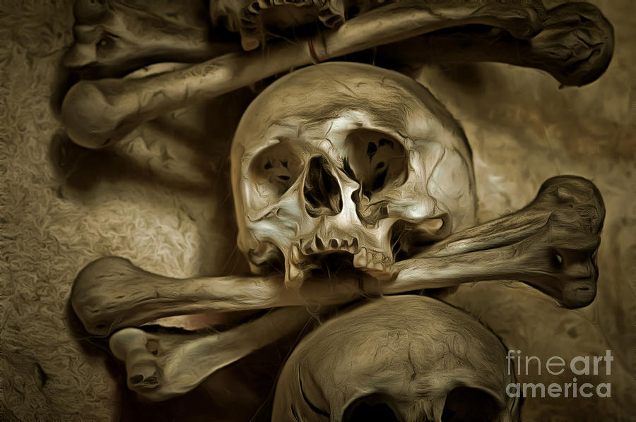 Human Skull And Bones #1 Mixed Media by Michal Boubin