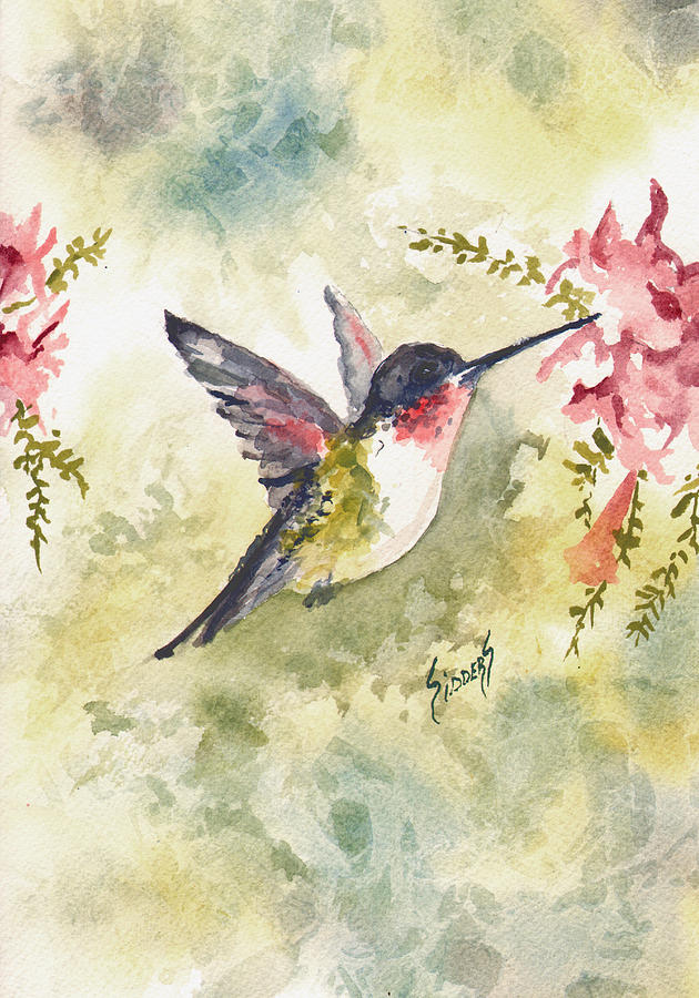 Hummingbird Painting - Hummingbird #1 by Sam Sidders