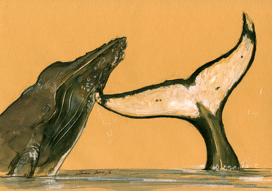 Marine Jellyfish Painting - Humpback whale painting #1 by Juan  Bosco