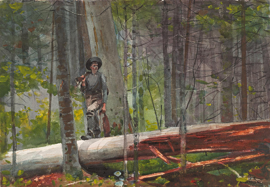Hunter in the Adirondacks Drawing by Winslow Homer