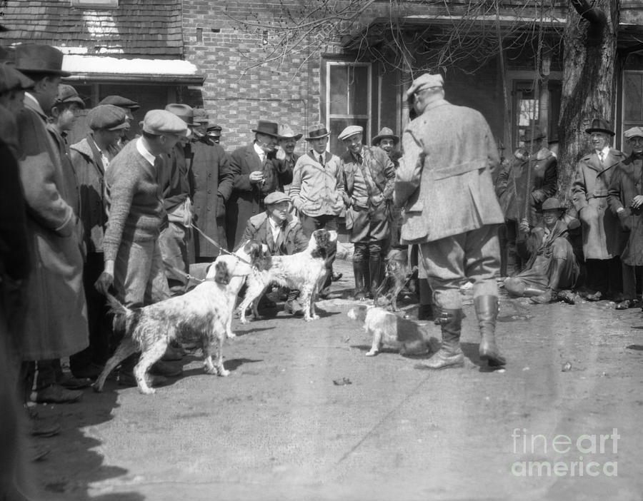 Hunting Dogs With Trainers, C.1920-30s Photograph by H. Armstrong ...