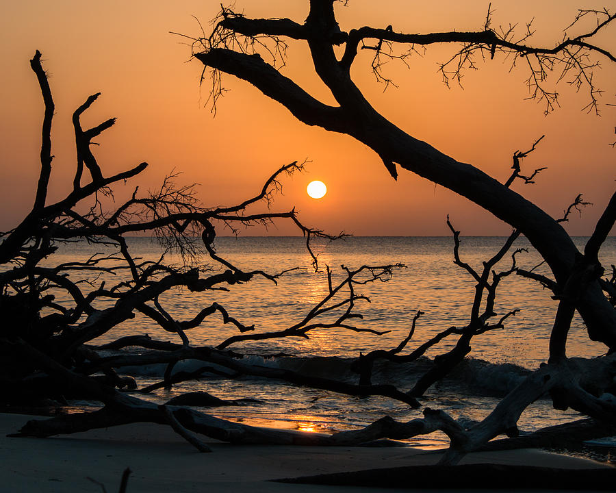 Hunting Island Sunrise #1 Photograph by Lynne Jenkins