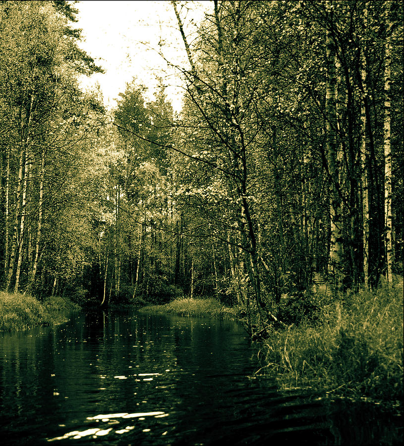 Huosiosjoki River #1 Photograph by Jarmo Honkanen