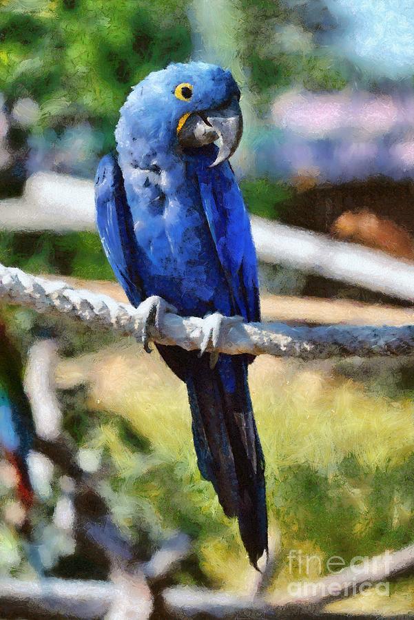 Macaw Painting - Hyacinth Macaw #2 by George Atsametakis