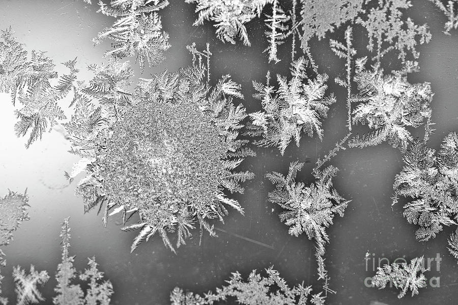 Ice Crystals #1 Photograph by Alana Ranney