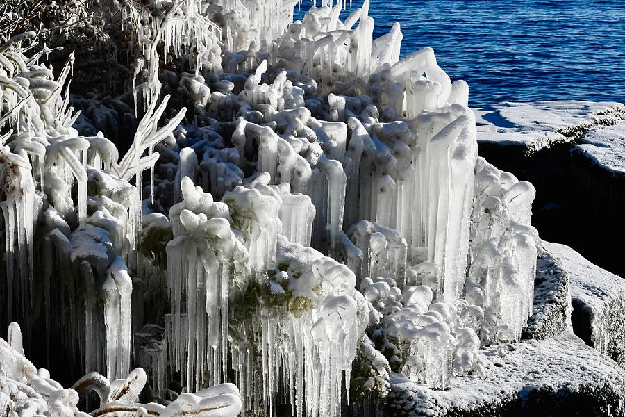 Ice Sculpture #1 Photograph by Hella Buchheim