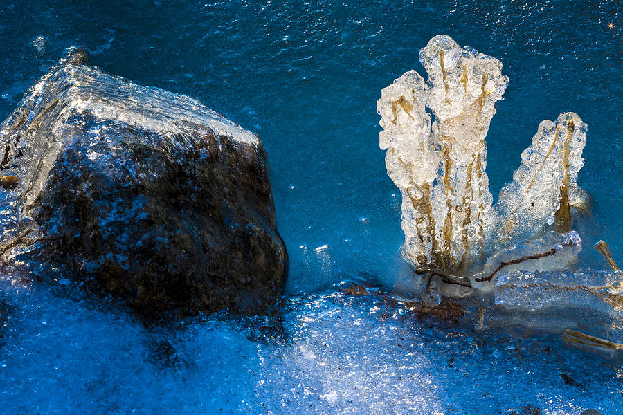 Icefigures #1 Photograph by Elmer Jensen