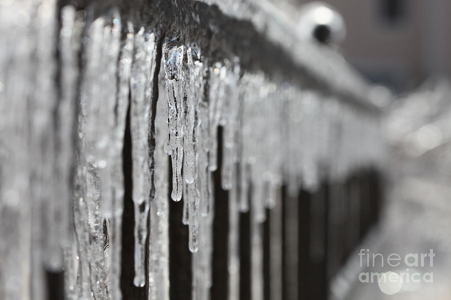 Icicles at Attention Photograph by Nadine Rippelmeyer