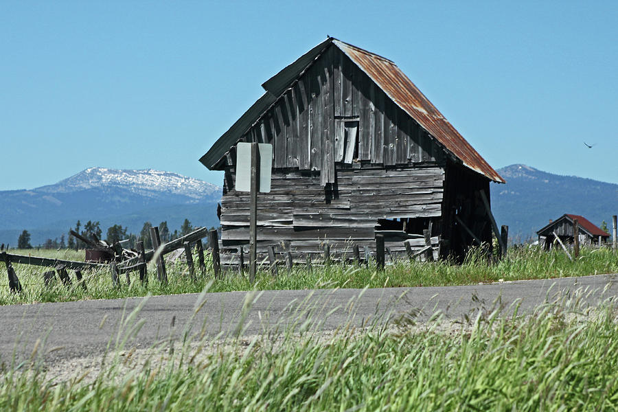 Idaho Barn #5 Photograph by Ira Marcus