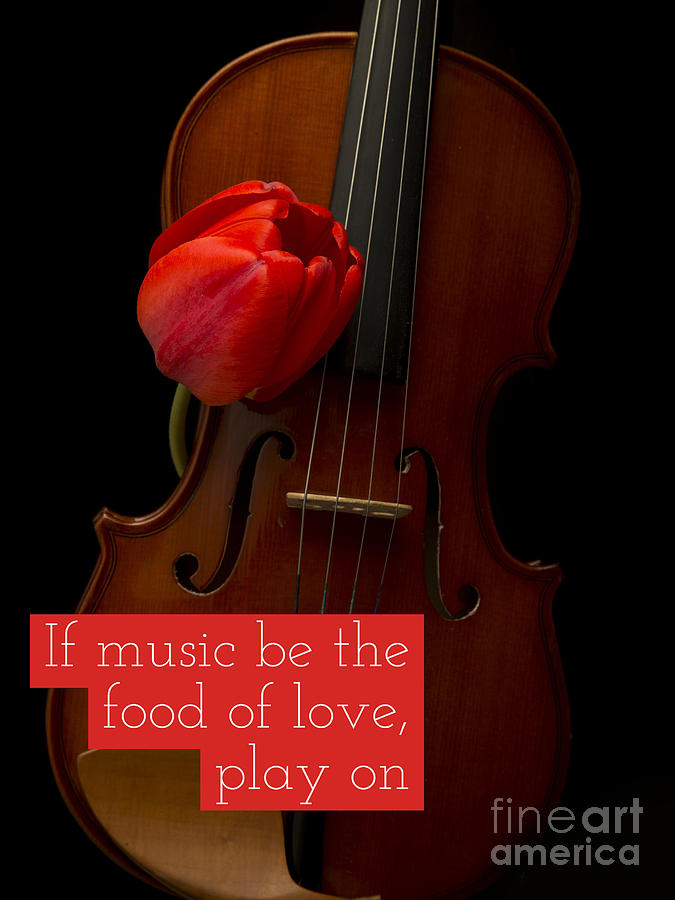 If music be the food of love, play on #2 Photograph by Edward Fielding