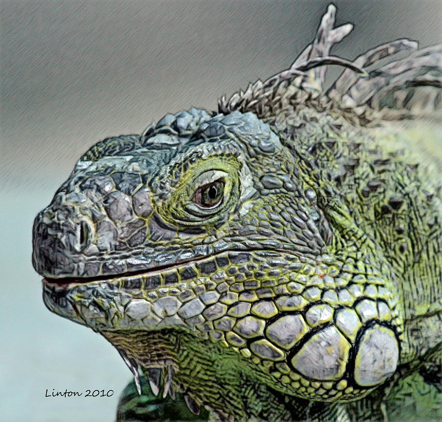 Iguana Verde #1 Digital Art by Larry Linton