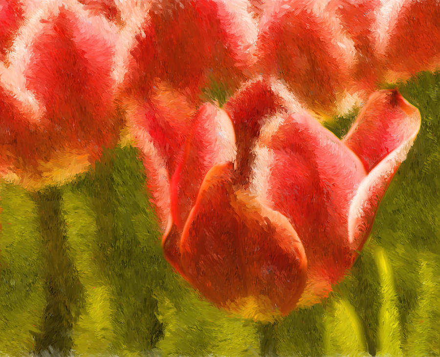 Impression Tulips  #1 Digital Art by Mick Burkey
