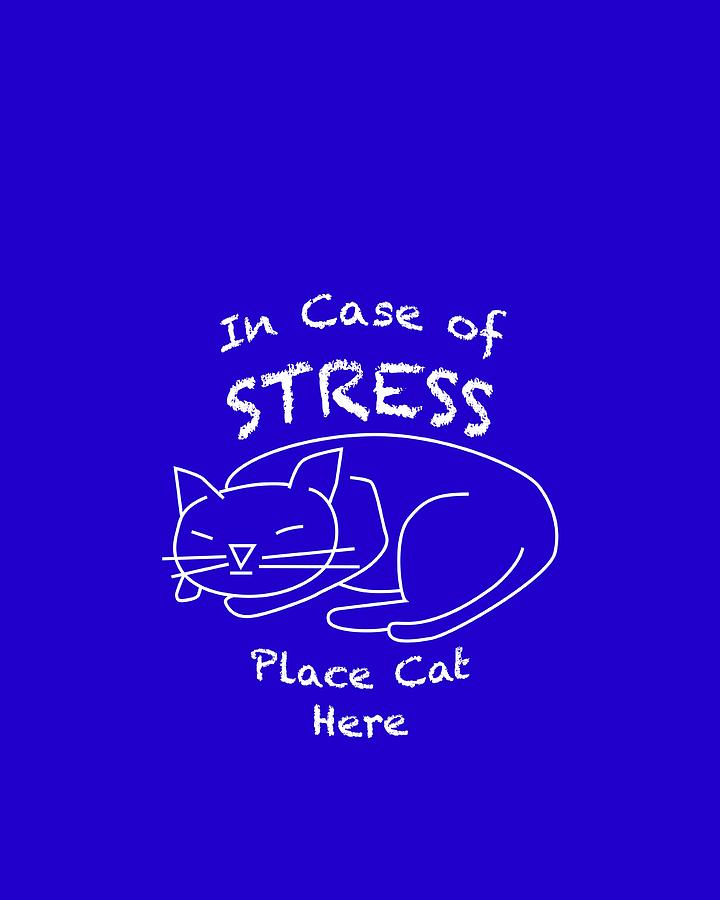 In case of stress, place cat here t-shirt #2 Drawing by David Smith