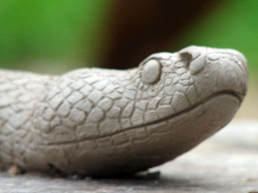 clay snake head