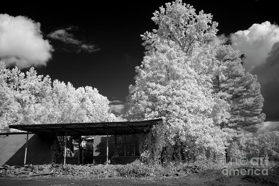 Infrared  #1 Photograph by FineArtRoyal Joshua Mimbs
