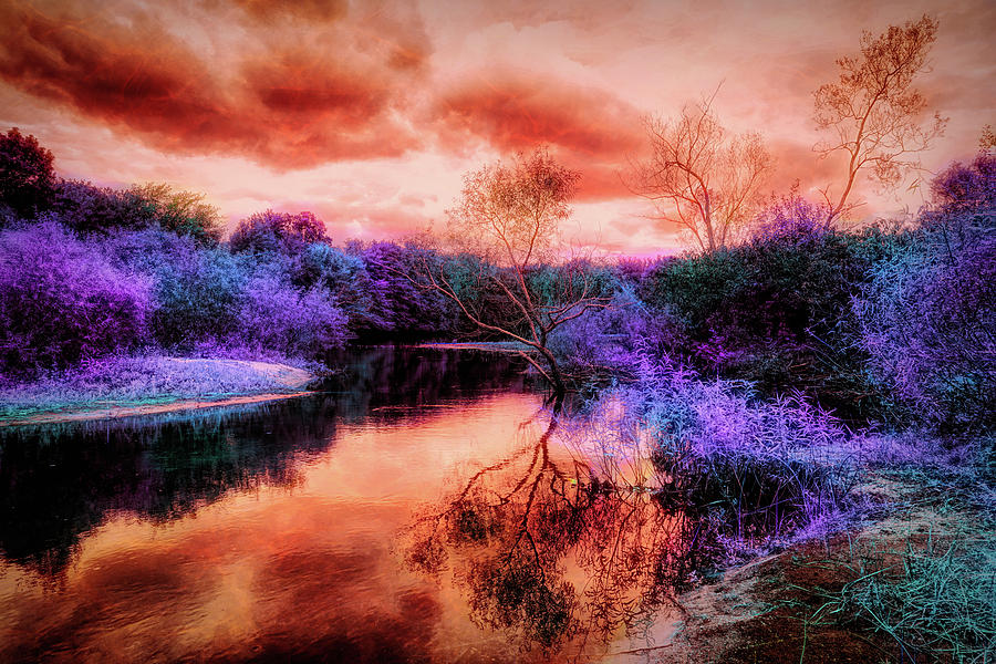 Infrared landscape 2 #2 Mixed Media by Lilia S