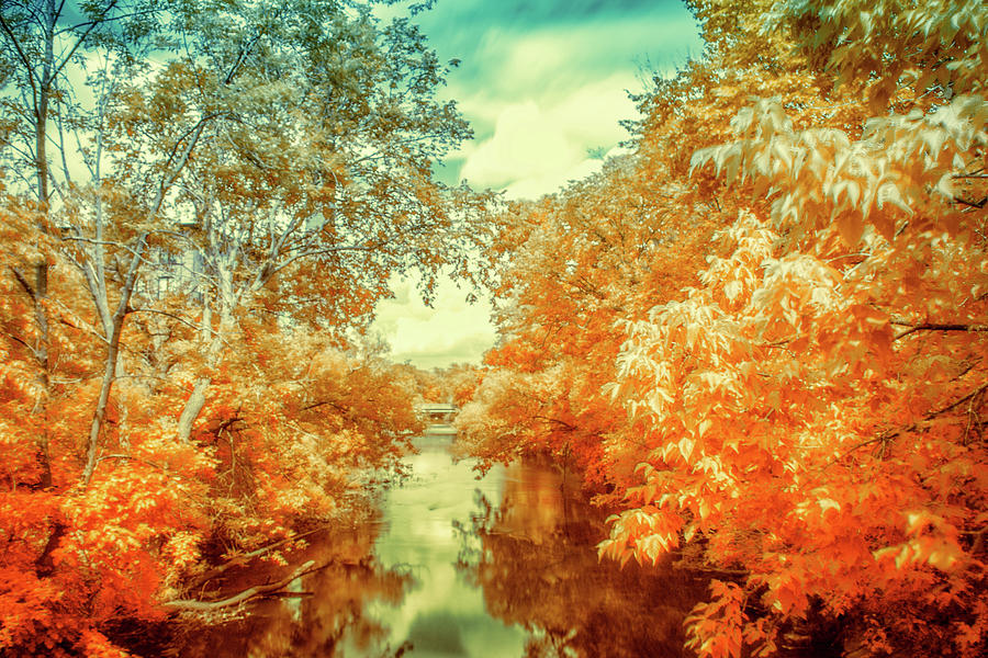 Infrared Landscape #1 Photograph by Lilia S