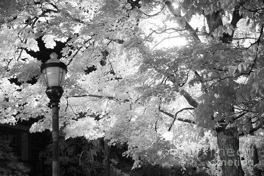 Infrared Light #1 Photograph by FineArtRoyal Joshua Mimbs