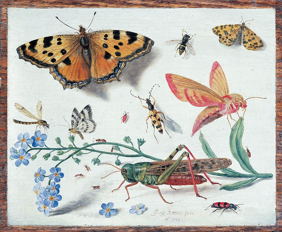 Insects and garden pansy #1 Painting by Jan van Kessel