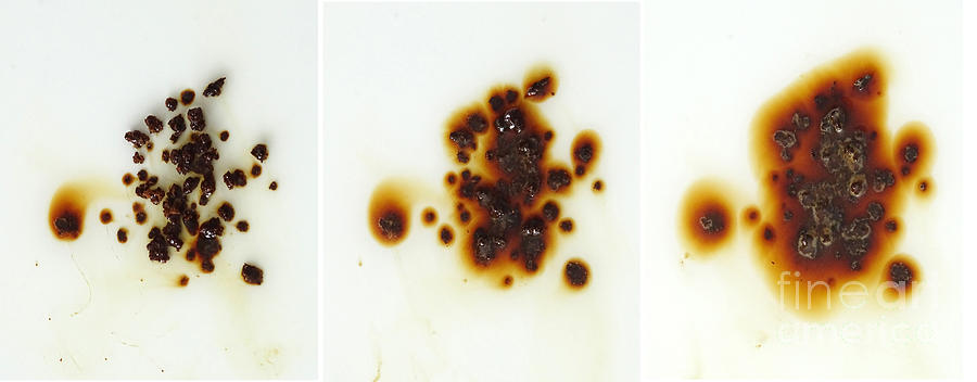 Instant Coffee Dissolving #1 Photograph by Scimat