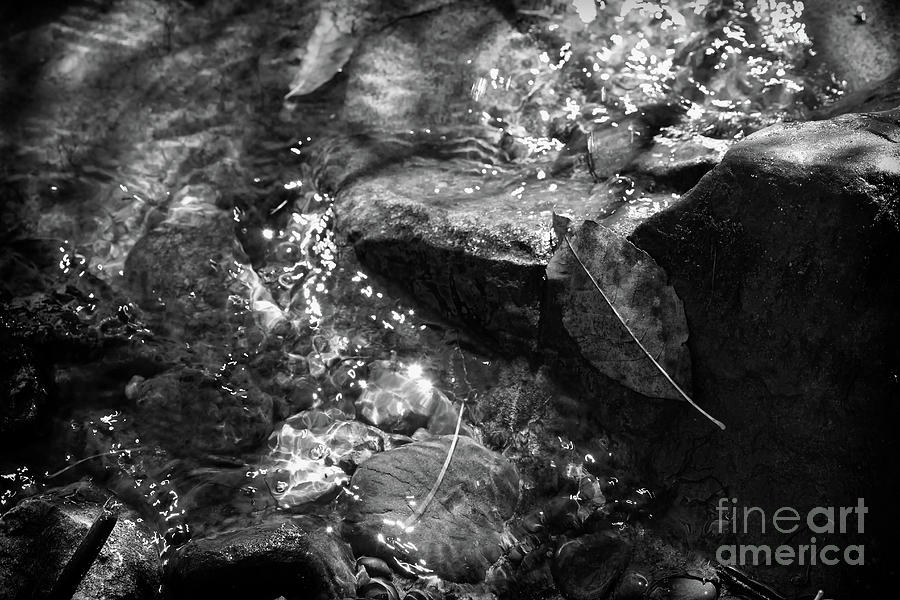 Into the Stream 9 #1 Photograph by Jimmy Ostgard