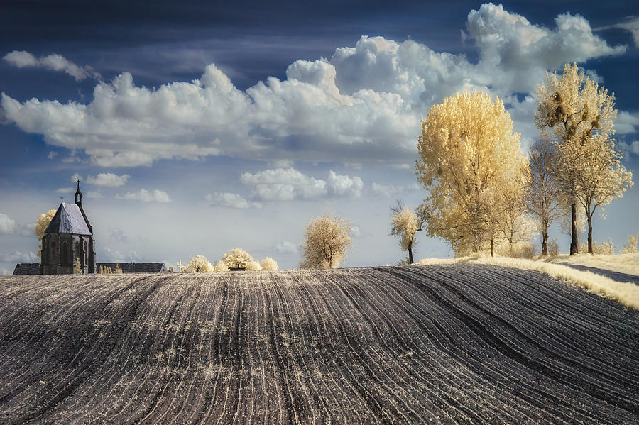 Landscape Photograph - Irenkowo #1 by Piotr Krol (bax)