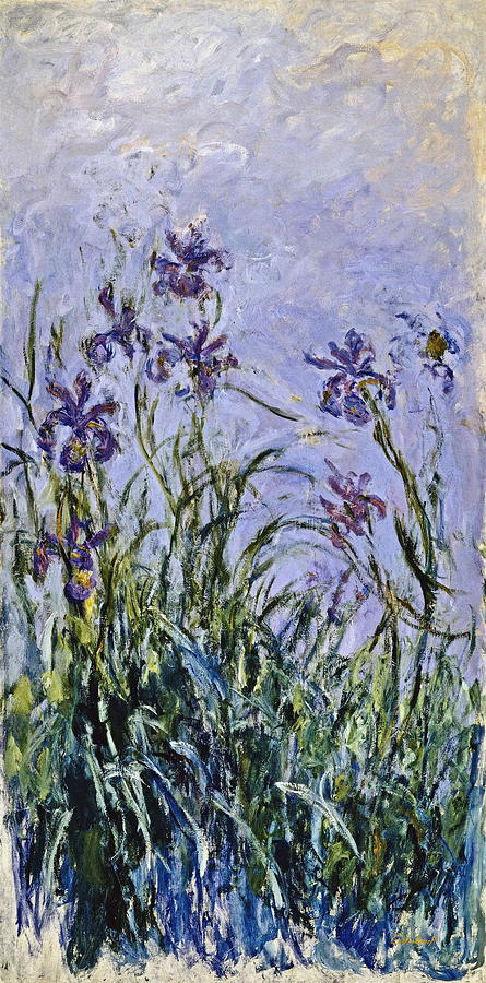 Claude Monet Painting - Iris Mauves #1 by Claude Monet
