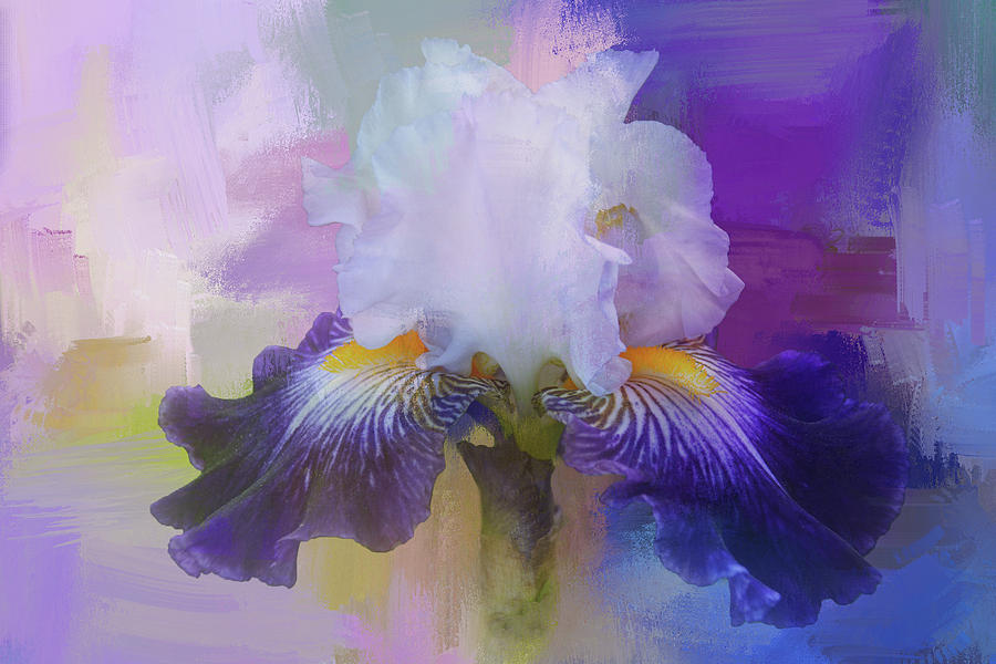 Iris Mixed Media - Iris019 #1 by Isabela and Skender Cocoli