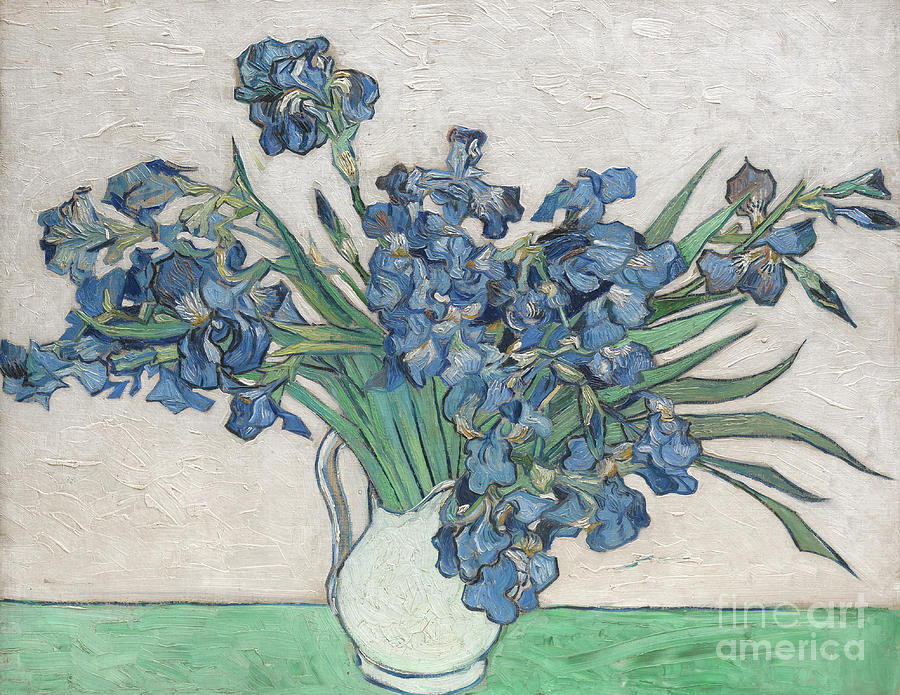 Irises, 1890 Painting by Vincent Van Gogh