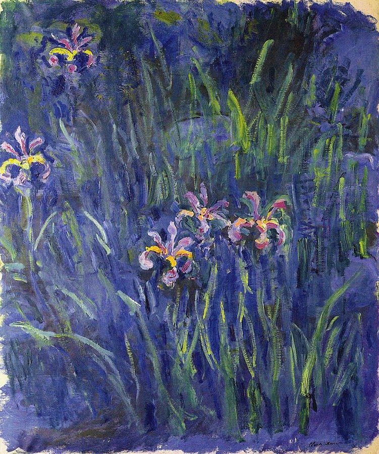 Claude Monet Painting - Irises   #1 by Claude Monet