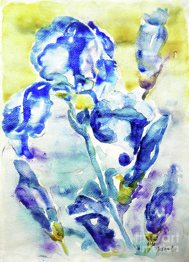 Iris Painting - Irises by Jasna Dragun