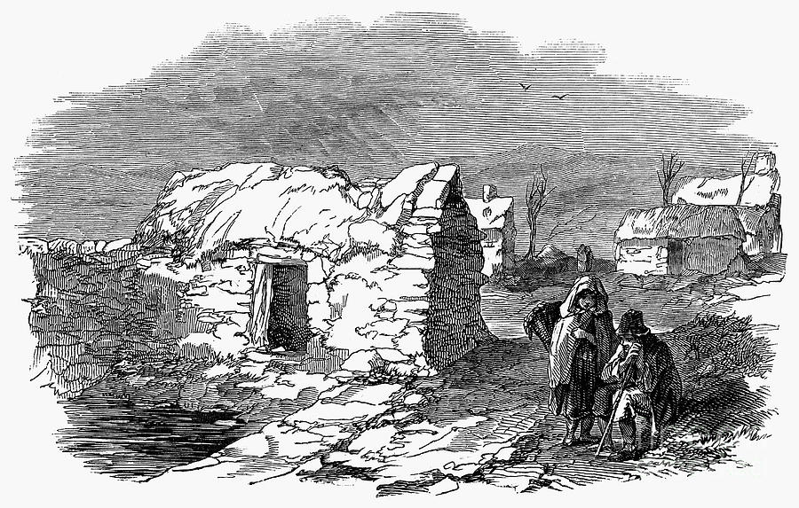 Irish Potato Famine, 1847 #2 Drawing by Granger