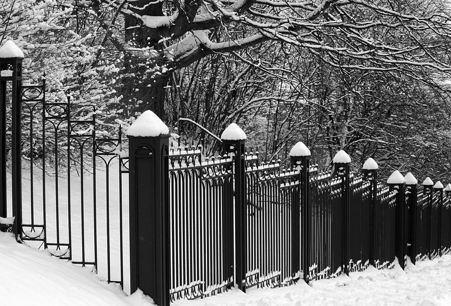 Iron Fence #2 Photograph by David  Hubbs