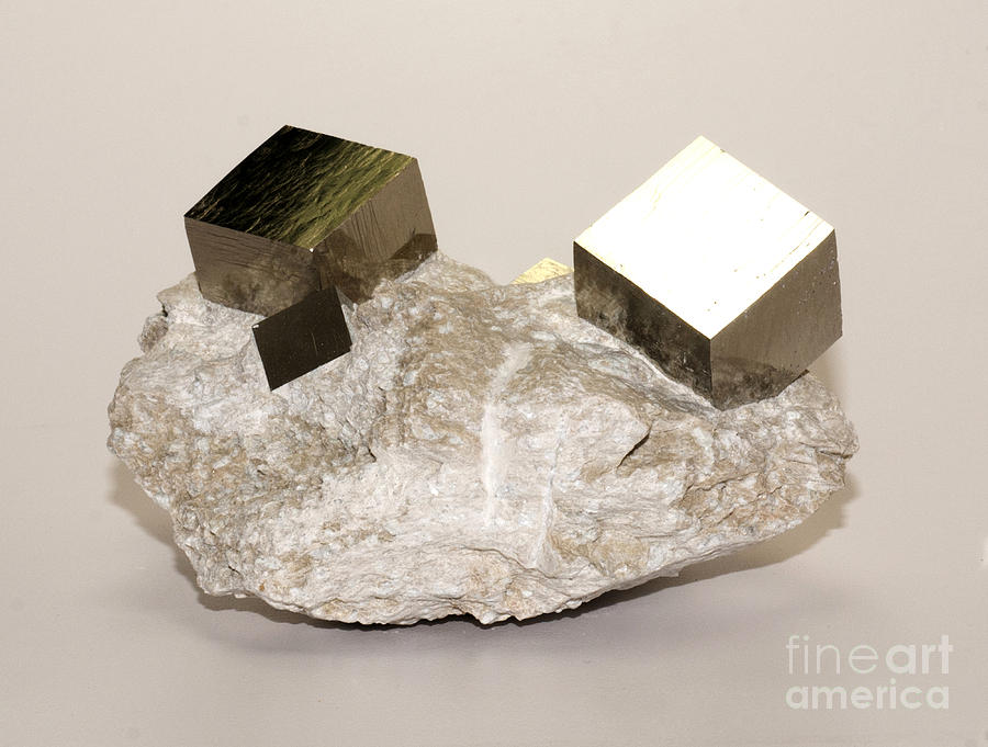 Iron Pyrite Cubic Crystals In Matrix #1 Photograph by Scott Camazine