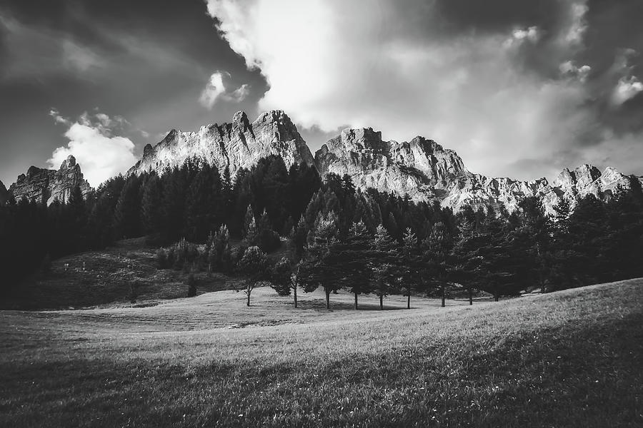 Italian Mountain Meadow #1 Photograph by Mountain Dreams