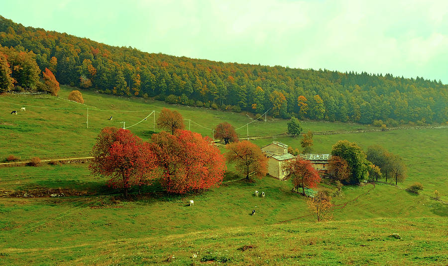 Italian Rural Landscape In Autumn #1 Photograph by Mountain Dreams