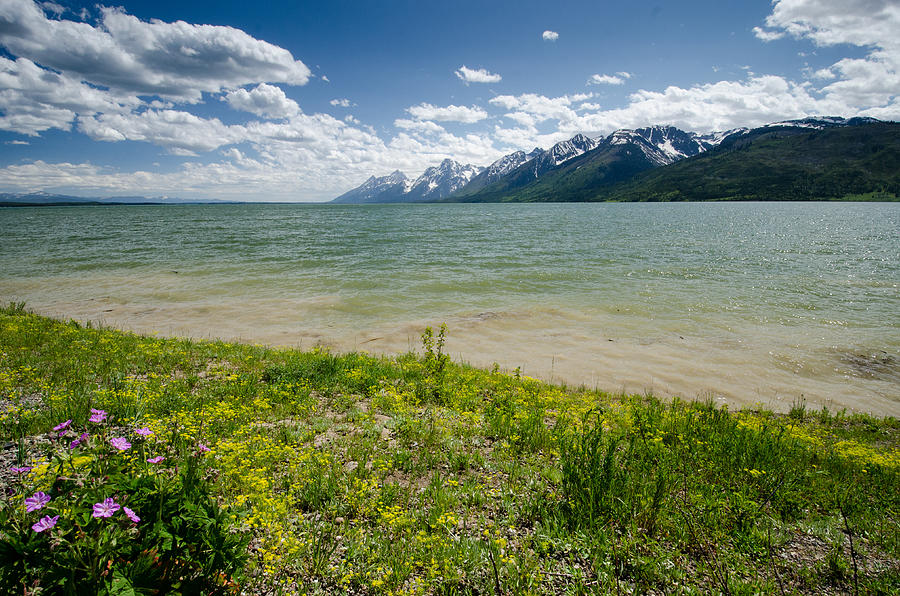 Jackson Lake Photograph by Crystal Wightman